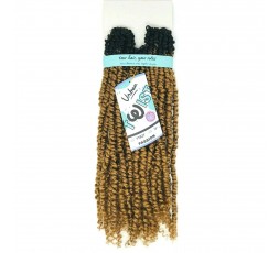 FEME - URBAN TWIST PASSION - Mèches Pour Crochets Braids Pré Bouclés FEME  CROCHET BRAID TWIST